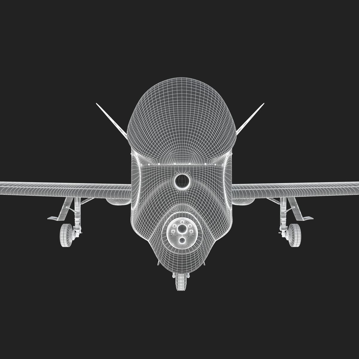 Northrop Grumman RQ-4 Global Hawk Aircraft 3D model_19