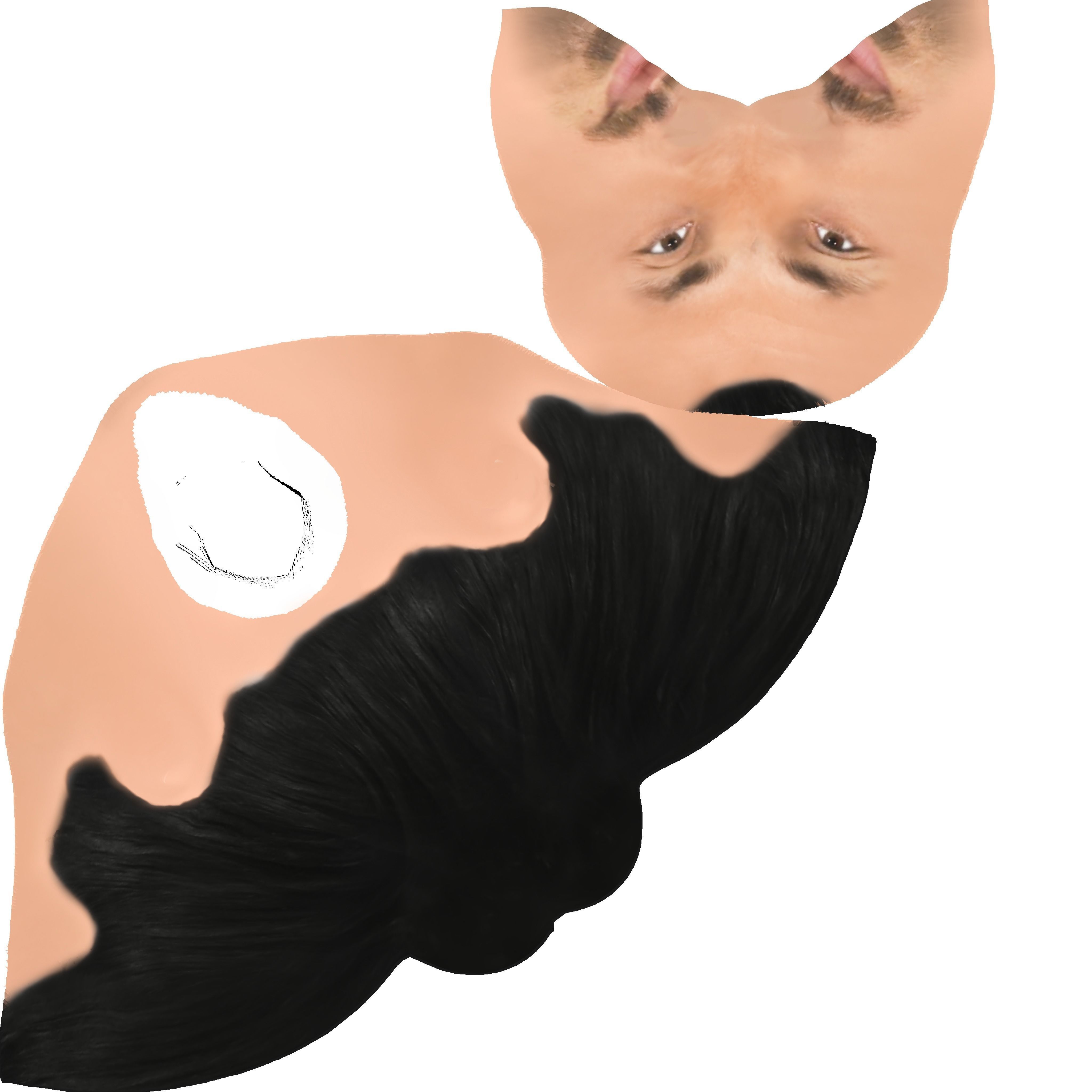 Zlatan Ibrahimovic 3D model_20