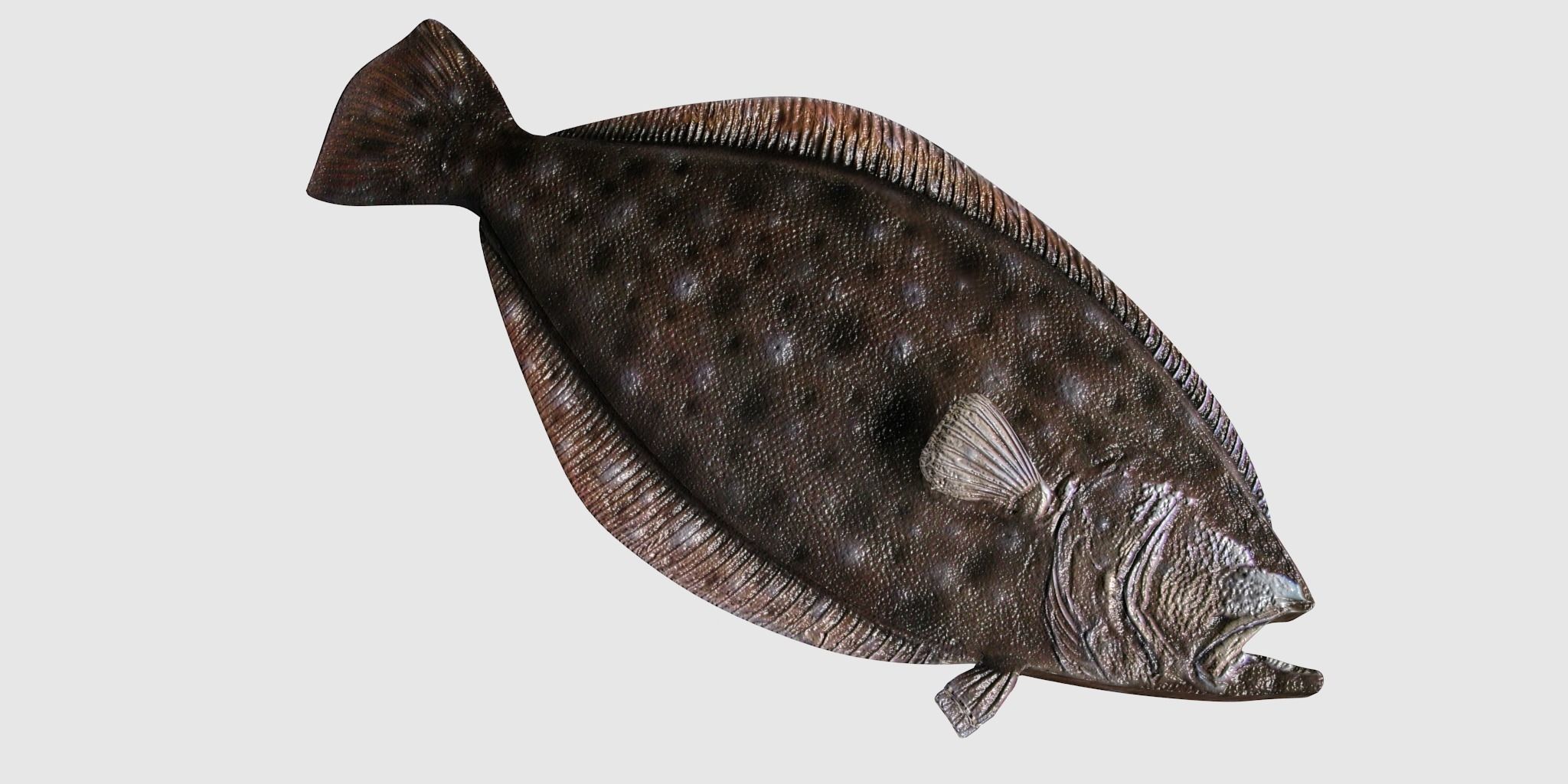 Flounder Fish Low-poly 3D model_2