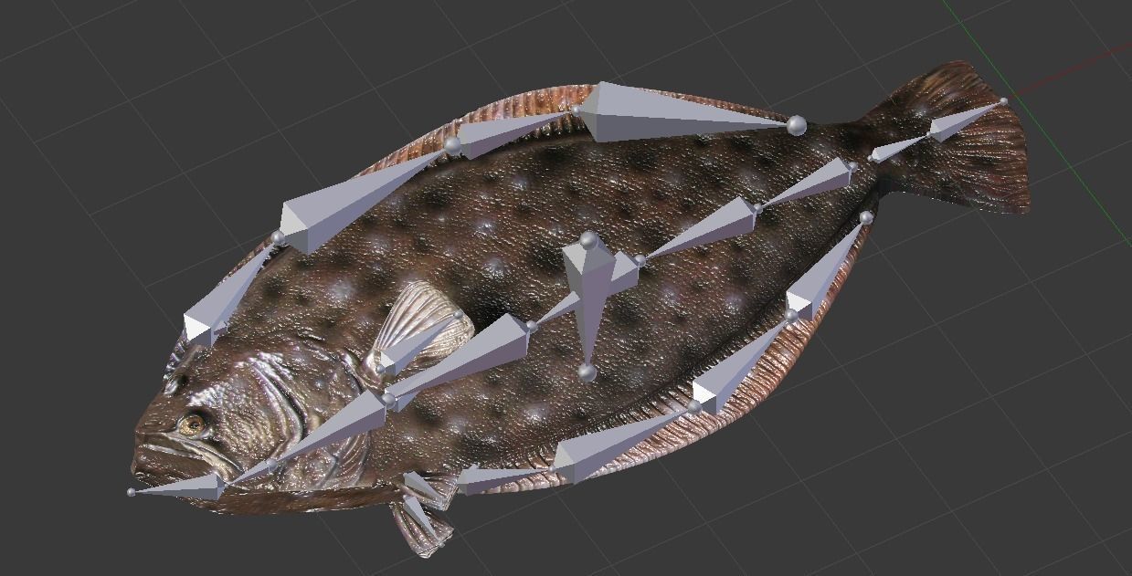 Flounder Fish Low-poly 3D model_5