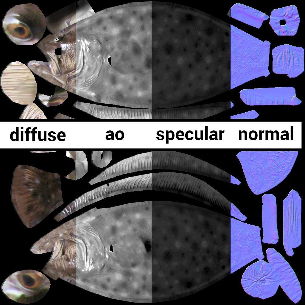 Flounder Fish Low-poly 3D model_6