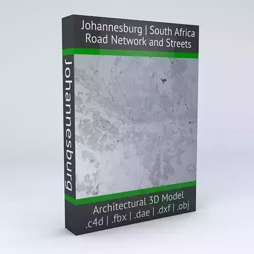 Johannesburg Road Network and Streets 3D model