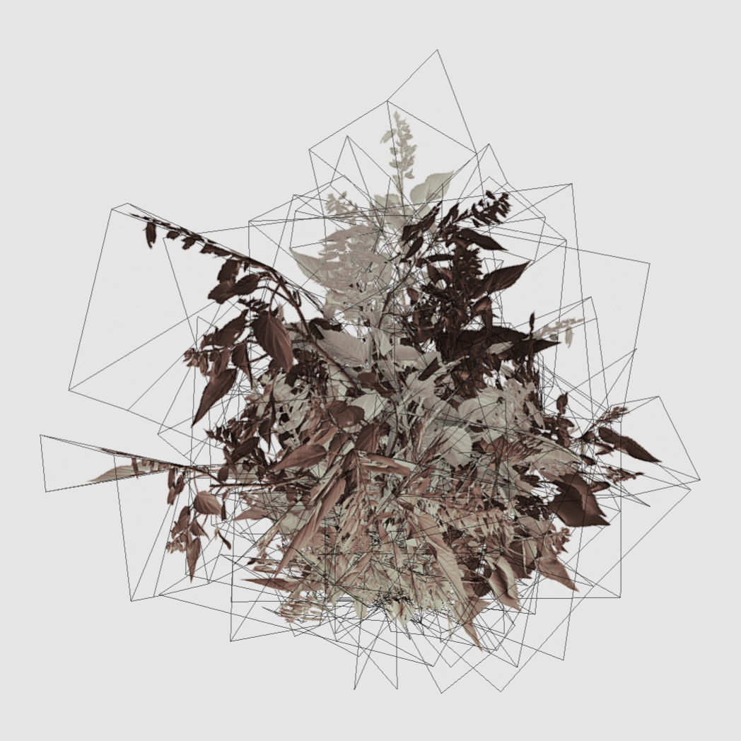Bush Plants Low-poly 3D model_3
