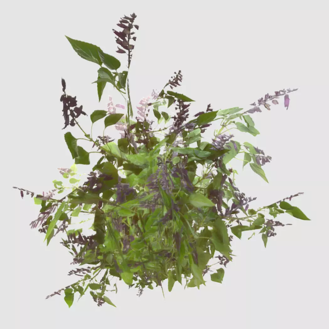 Bush Plants Low-poly 3D model_0