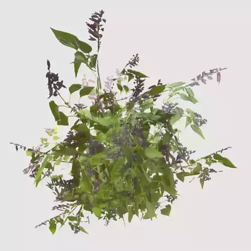 Bush Plants Low-poly 3D model