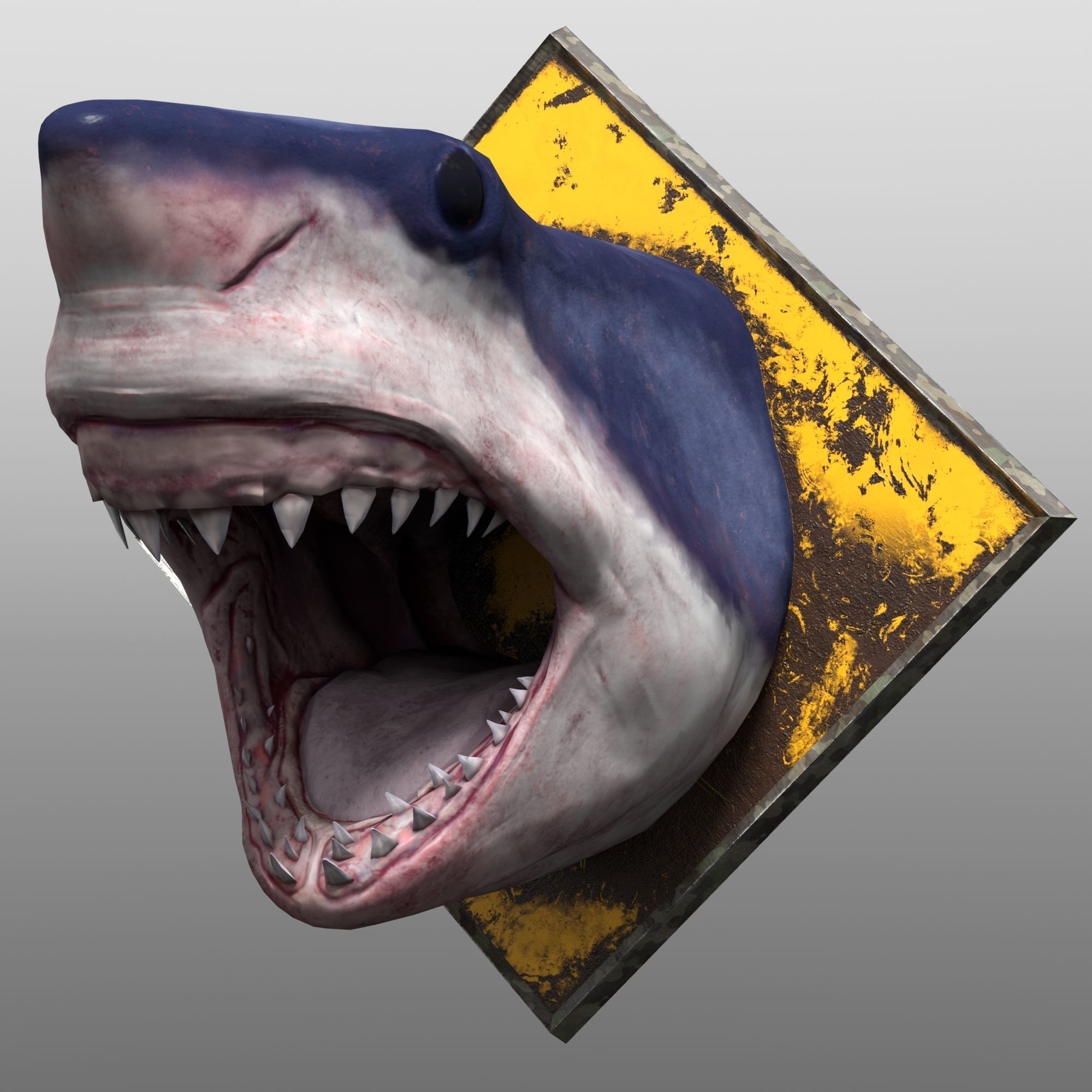 Shark Head Low-poly 3D model_3