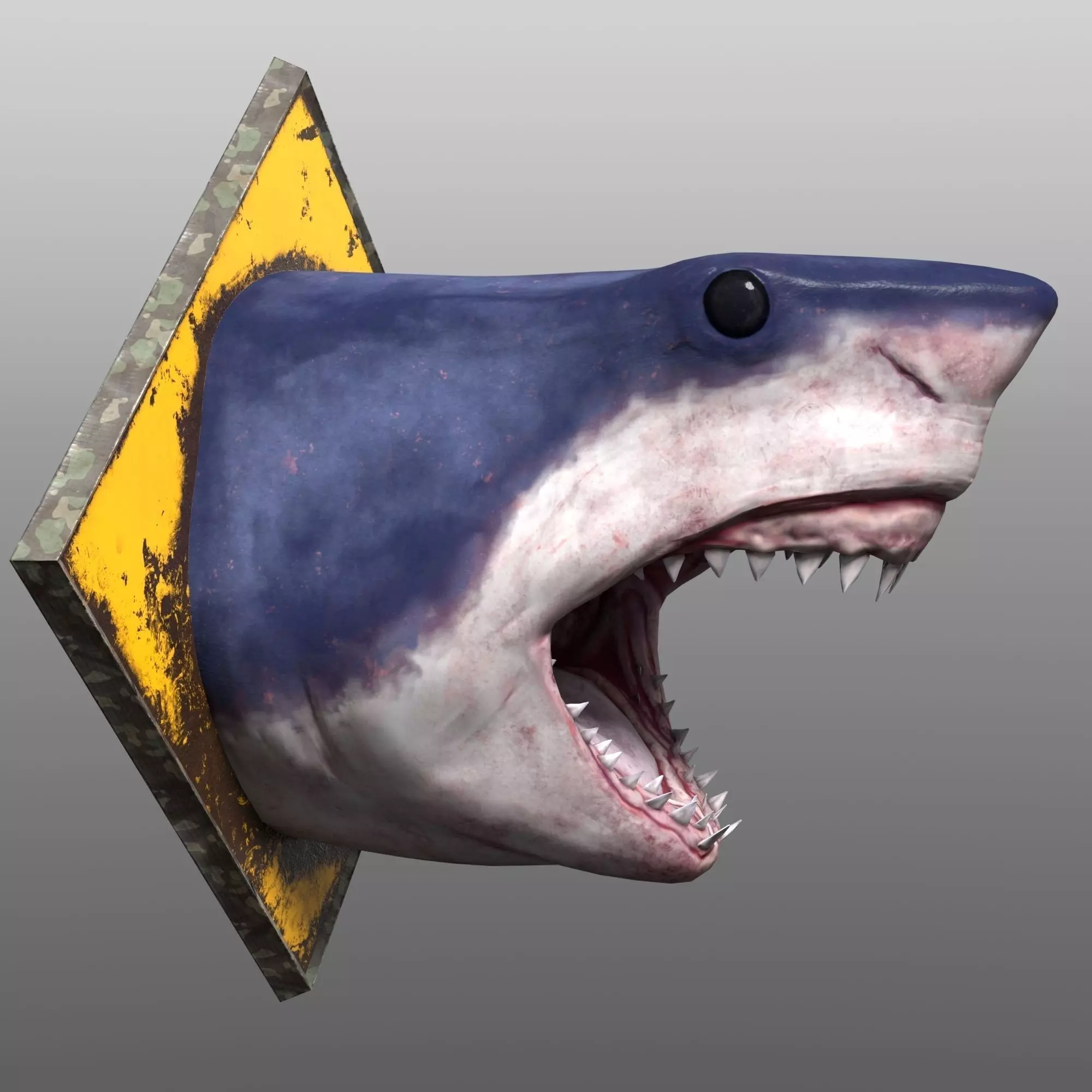 Shark Head Low-poly 3D model_0