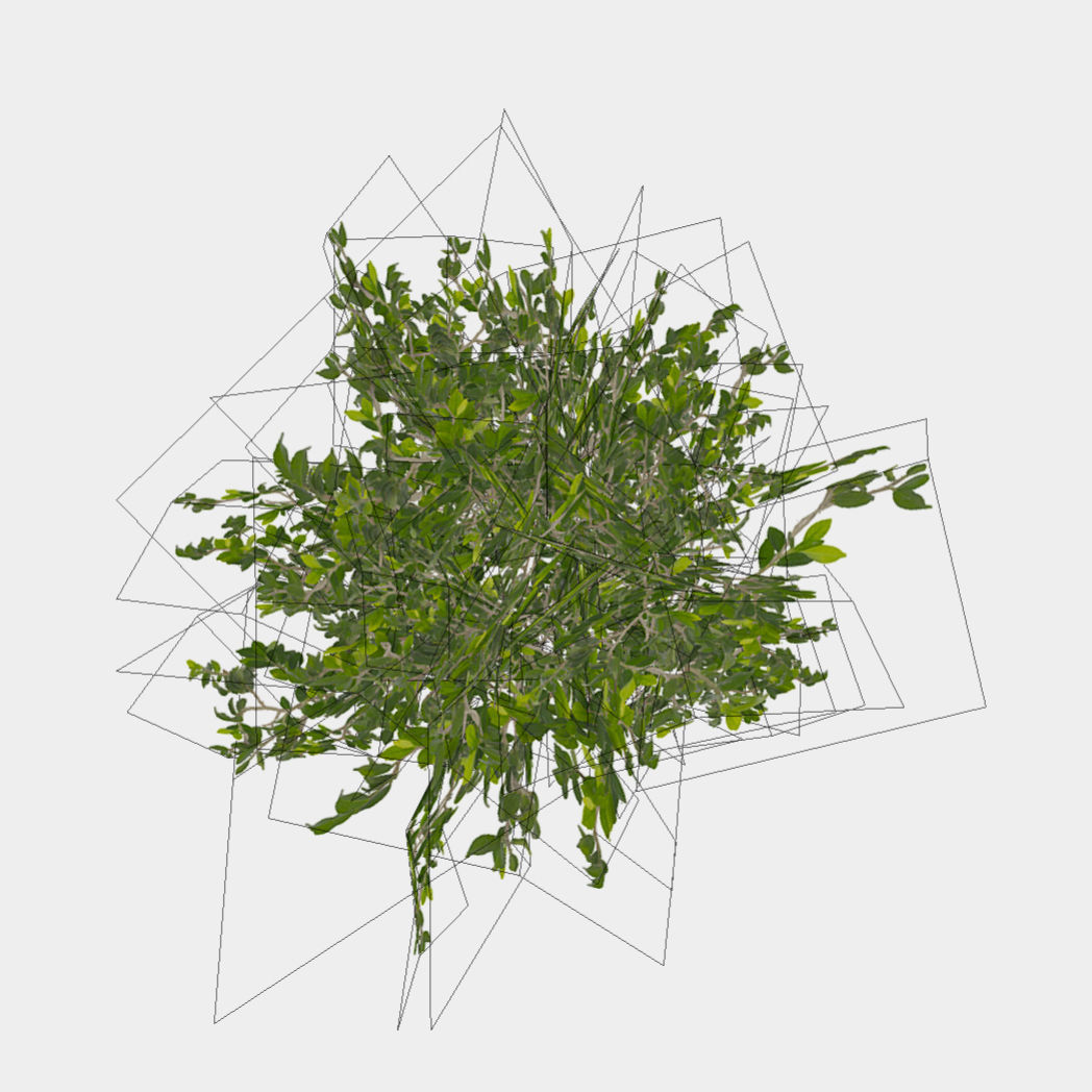 Bush Thyme Plant Low-poly 3D model_3