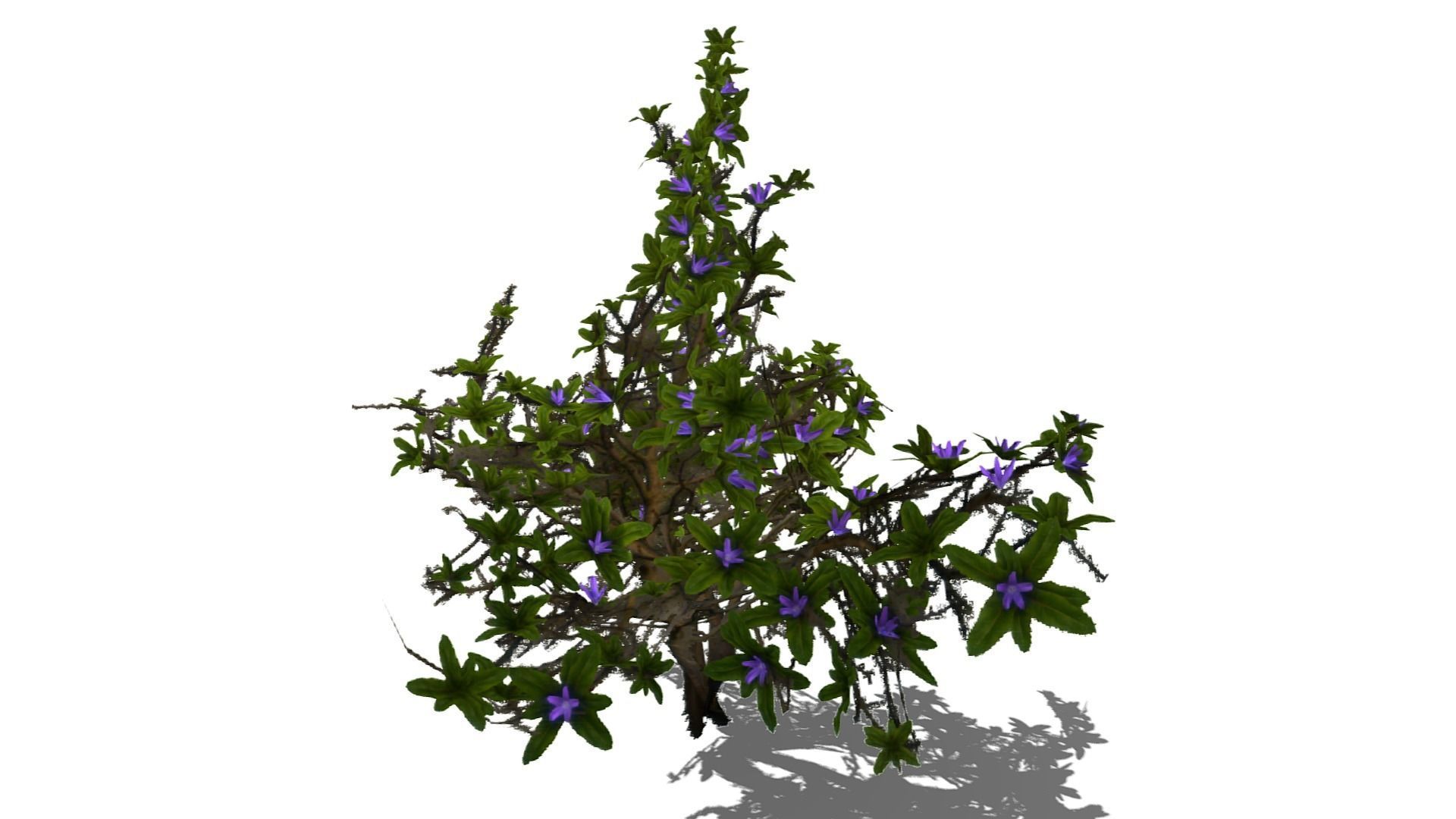 Flowering Bush Low-poly 3D model_10