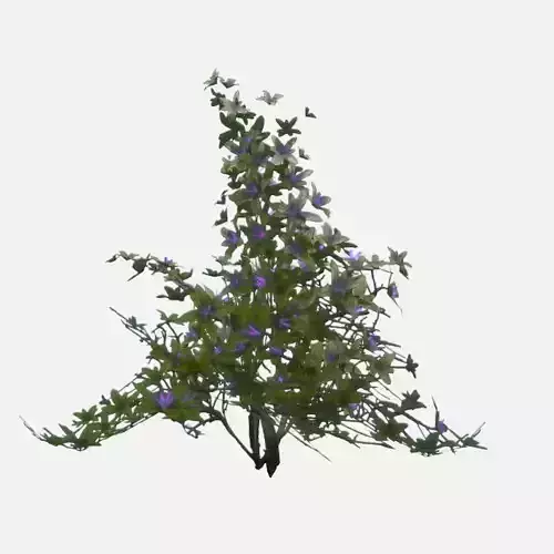Flowering Bush Low-poly 3D model
