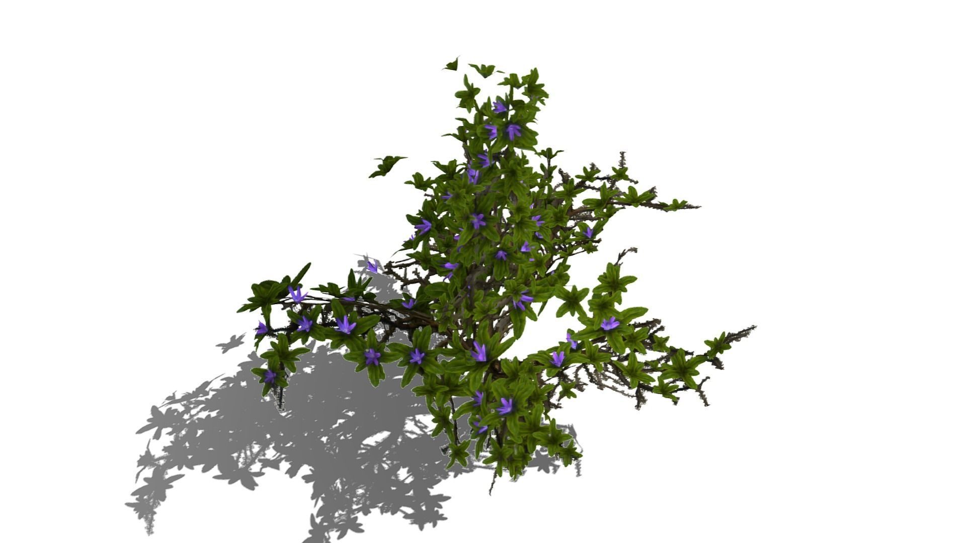 Flowering Bush Low-poly 3D model_15