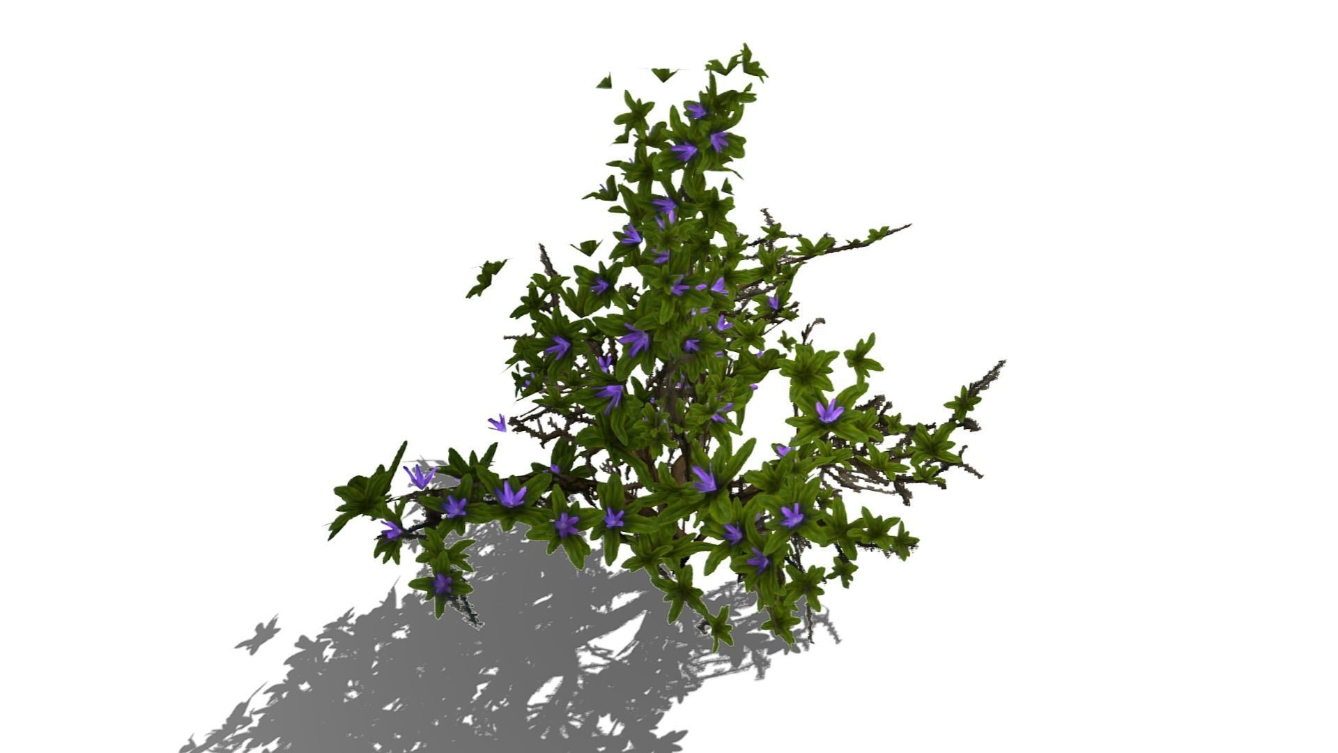 Flowering Bush Low-poly 3D model_14