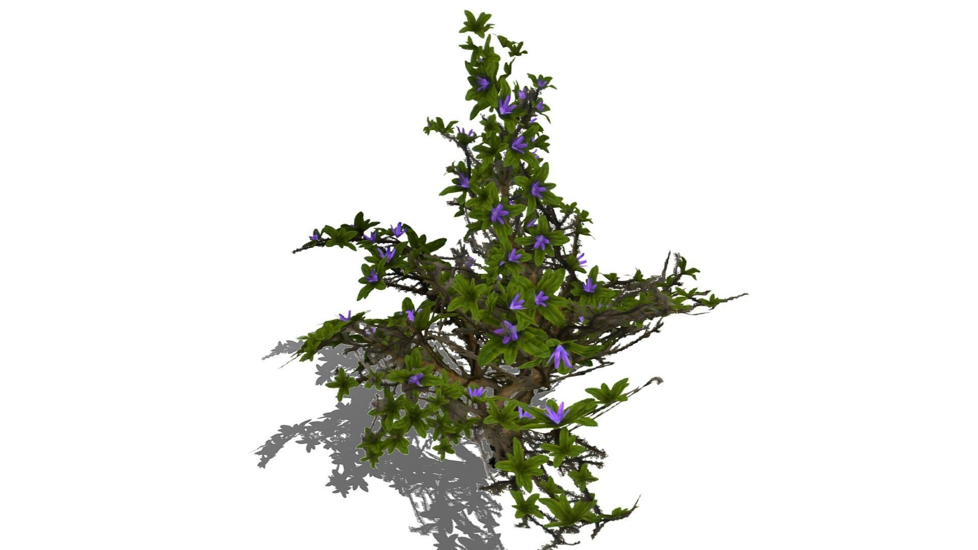 Flowering Bush Low-poly 3D model_17