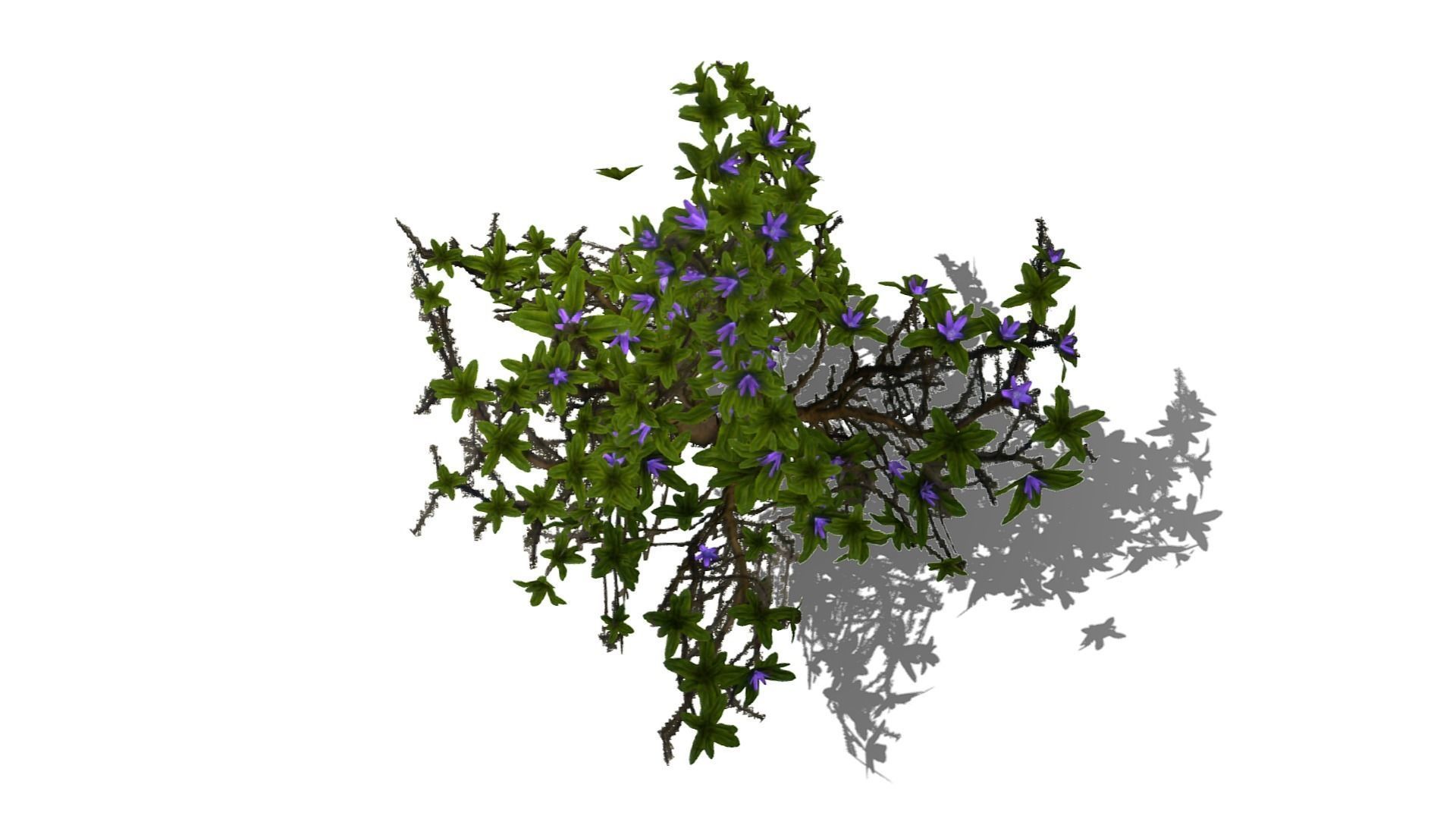 Flowering Bush Low-poly 3D model_5
