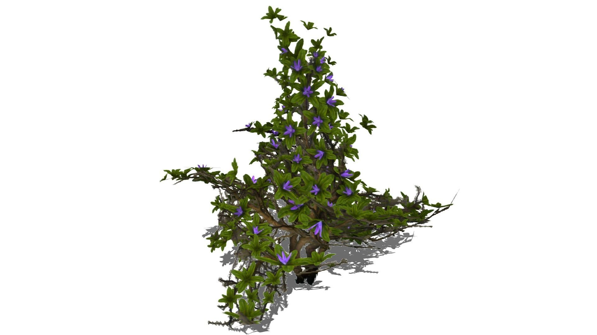Flowering Bush Low-poly 3D model_6