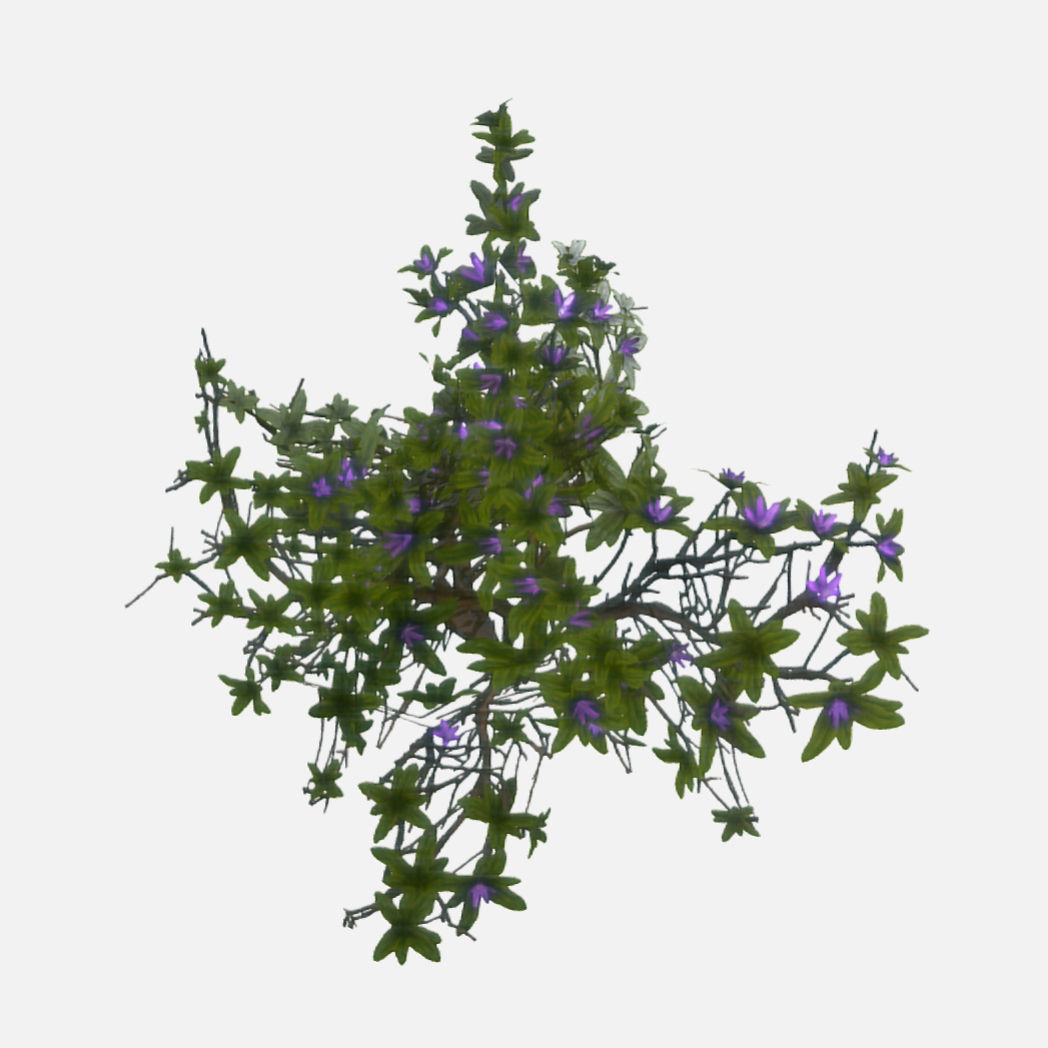 Flowering Bush Low-poly 3D model_1