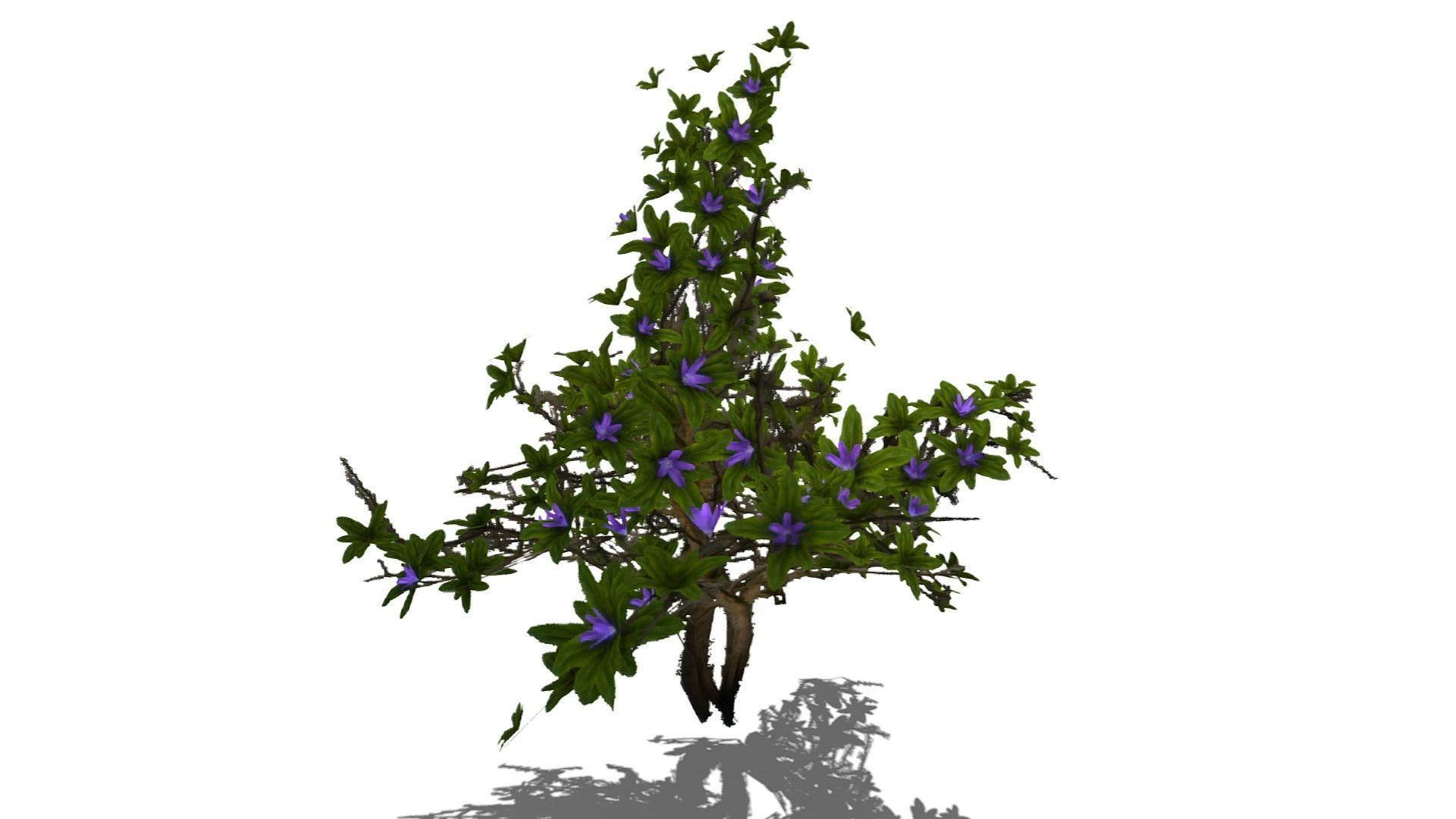 Flowering Bush Low-poly 3D model_12