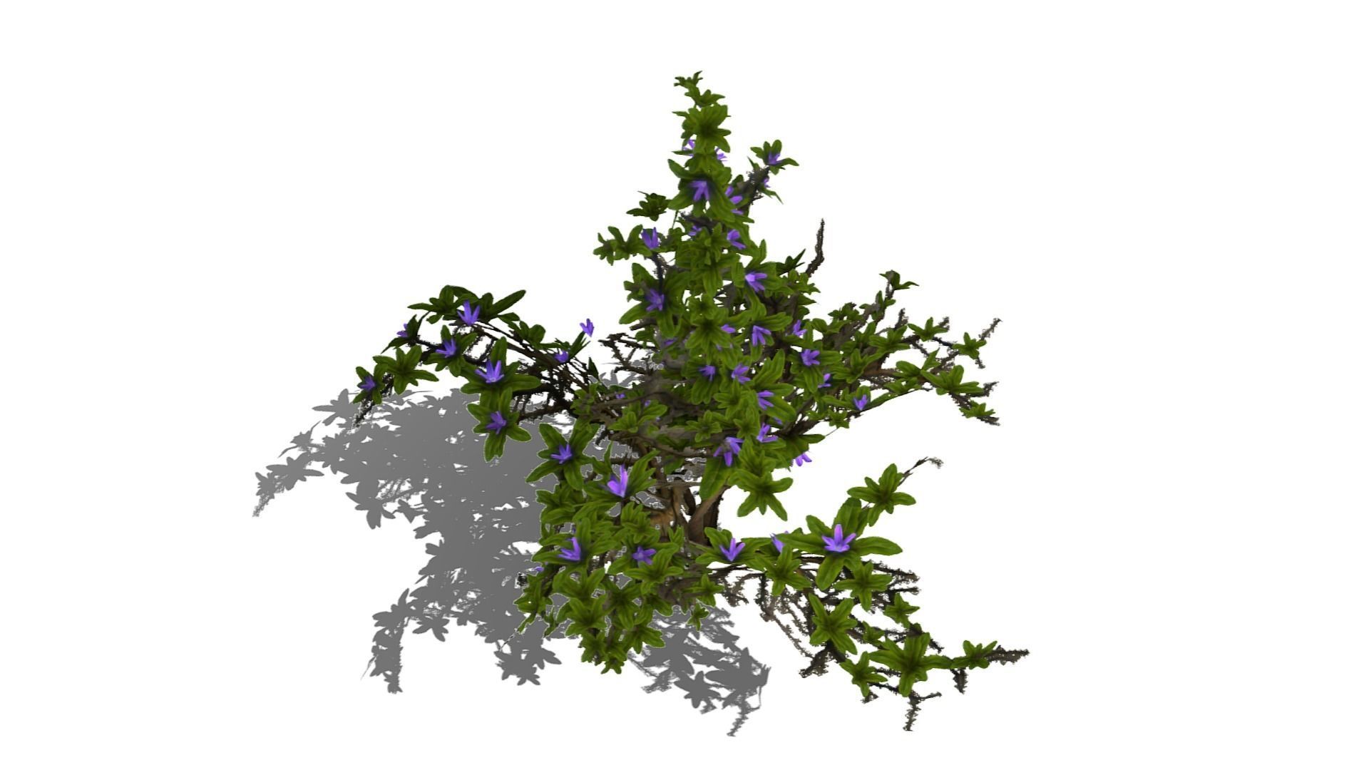 Flowering Bush Low-poly 3D model_16