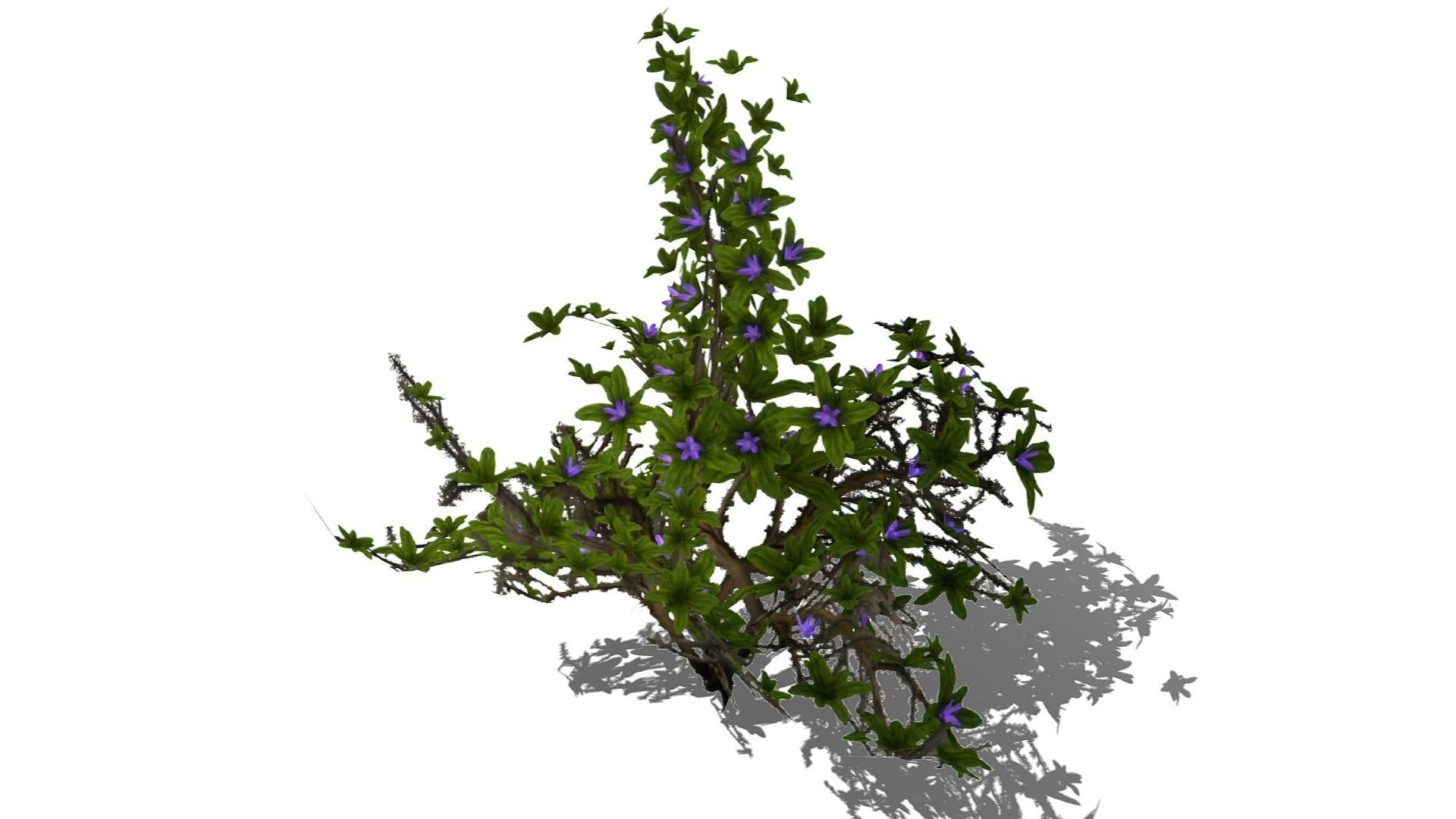 Flowering Bush Low-poly 3D model_8