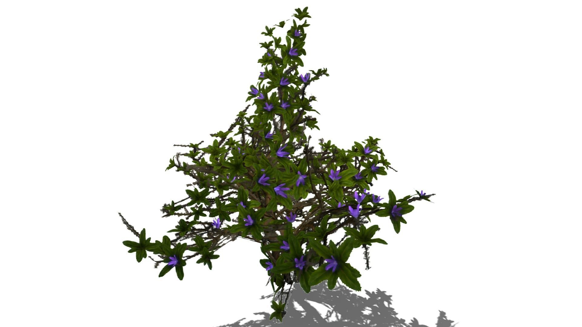 Flowering Bush Low-poly 3D model_11
