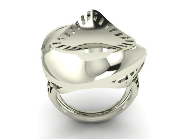 Ring R0284 3D print model_1