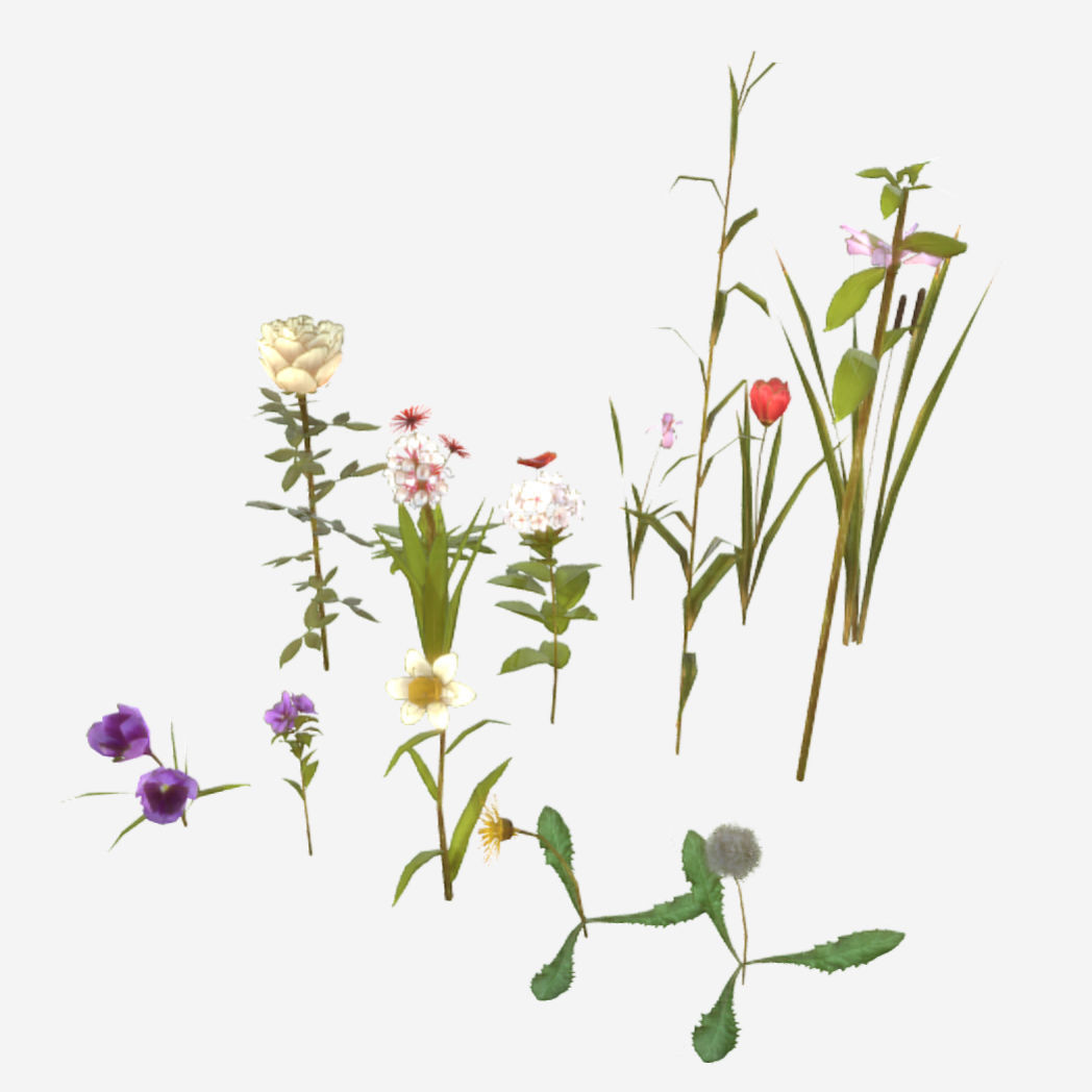 Flowers and Grasses Low-poly 3D model_3
