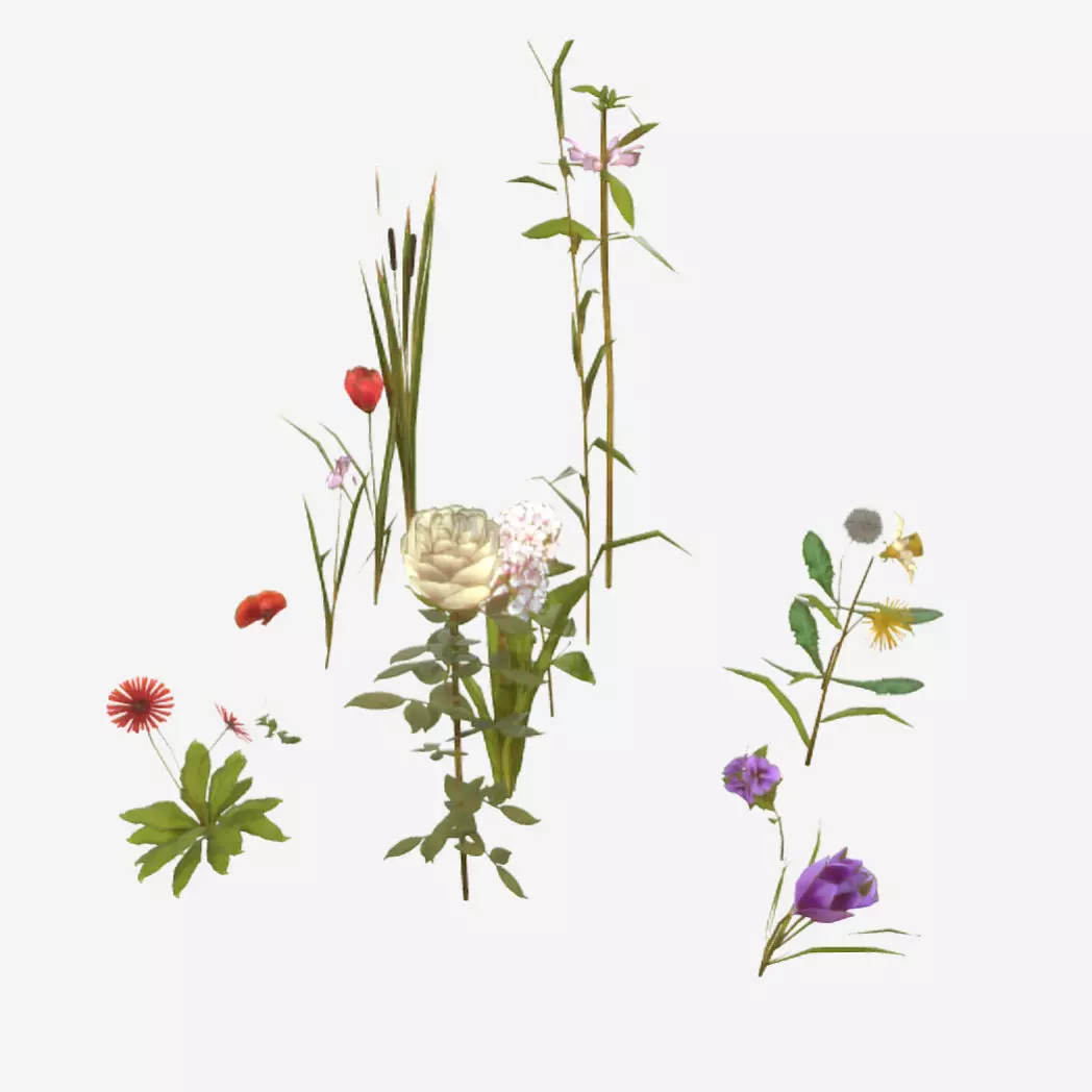Flowers and Grasses Low-poly 3D model_0
