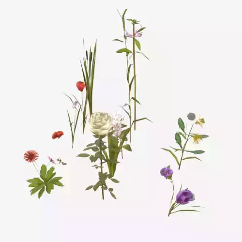 Flowers and Grasses Low-poly 3D model
