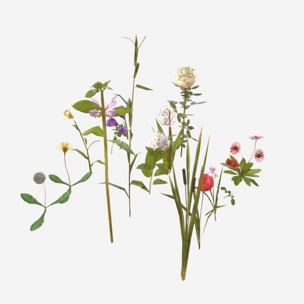 Flowers and Grasses Low-poly 3D model_2