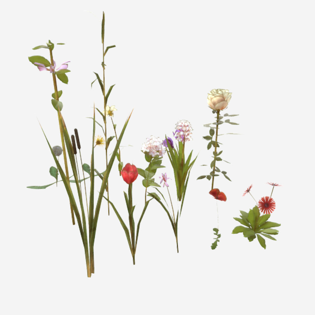 Flowers and Grasses Low-poly 3D model_1