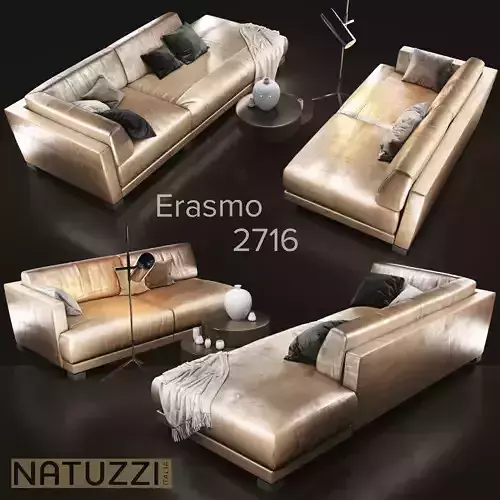 Sofa natuzzi Erasmo 2716