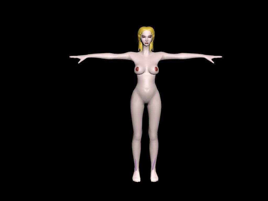 circulatory system 3D model_3