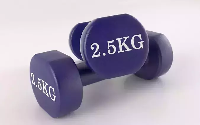 Metal 5kg Dumbell 3D model