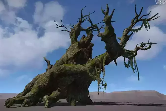 Ancient Tree V10