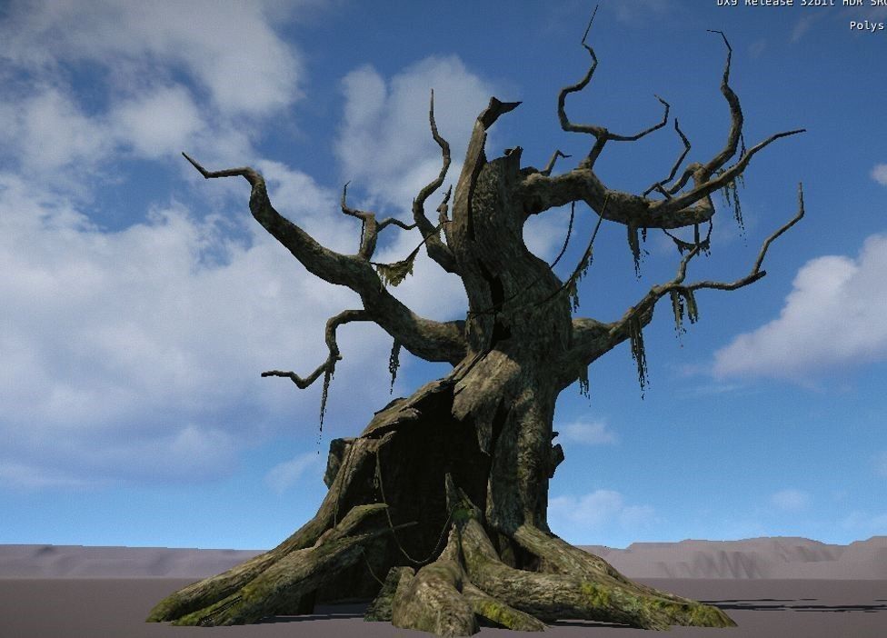 Ancient Tree V17