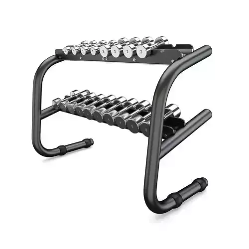 Technogym - Free Weight - Chromed Dumbells 3D model