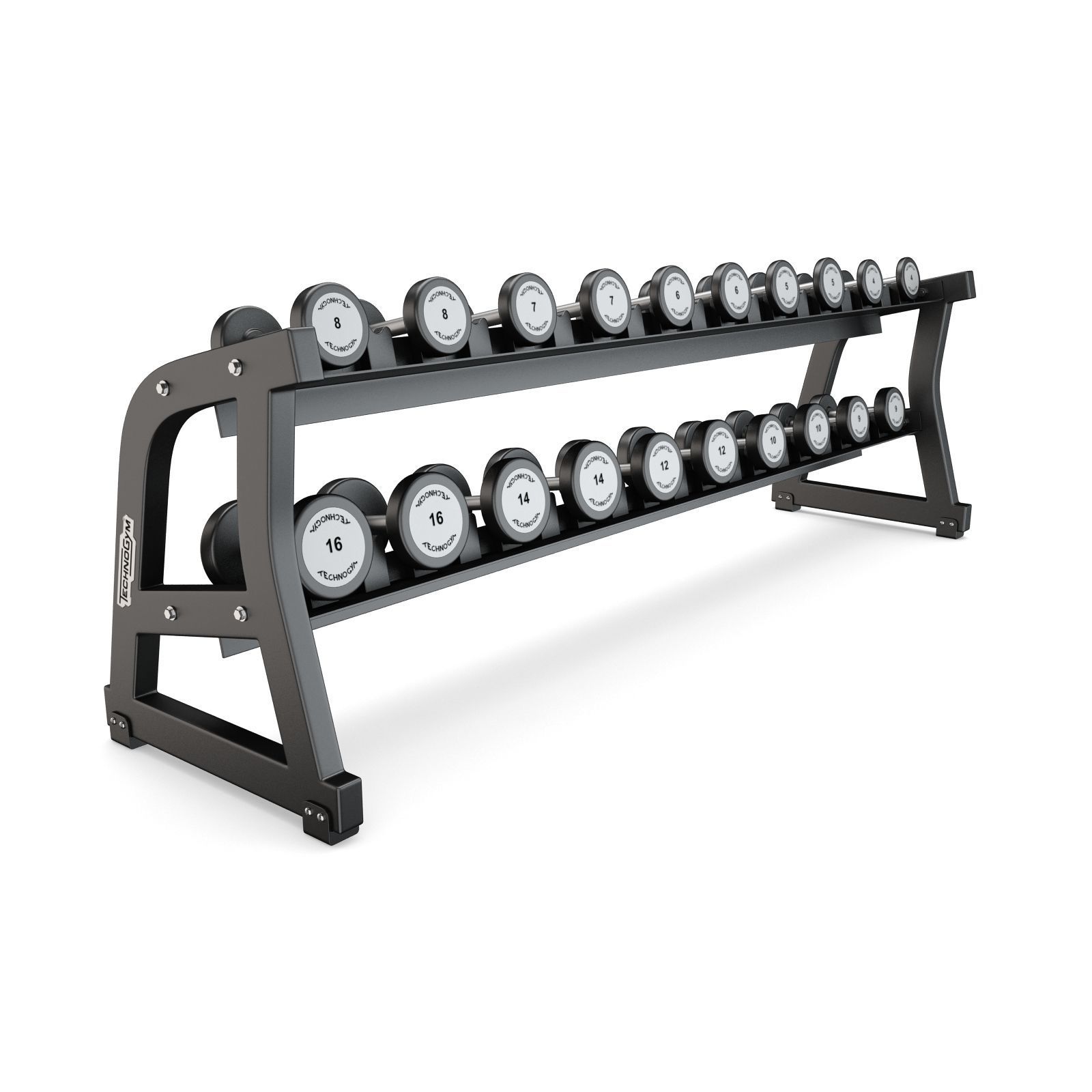 Technogym - Free Weight - Urethane Dumbbells 3D model_3