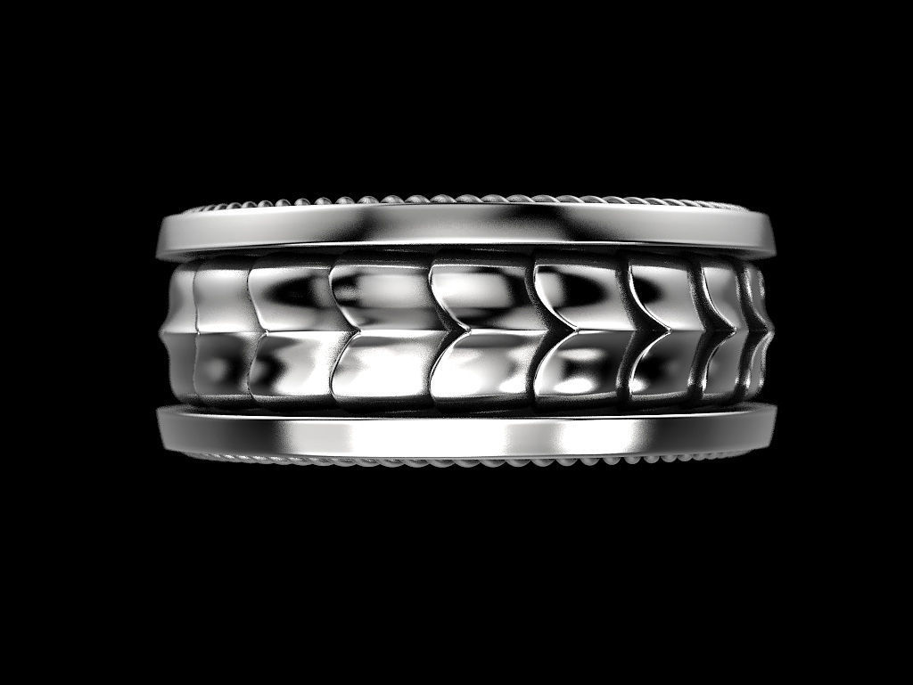 Scales of the Dragon 2 3D print model_13