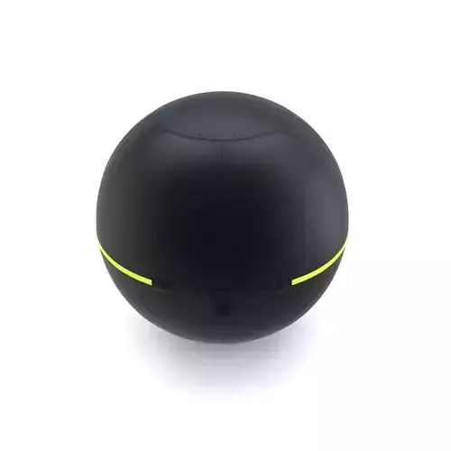 Technogym Ball 3D model