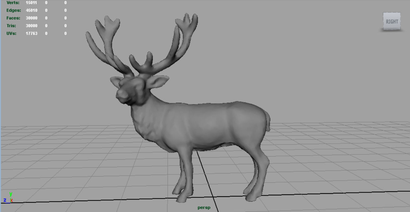 Red Deer 3D model_5