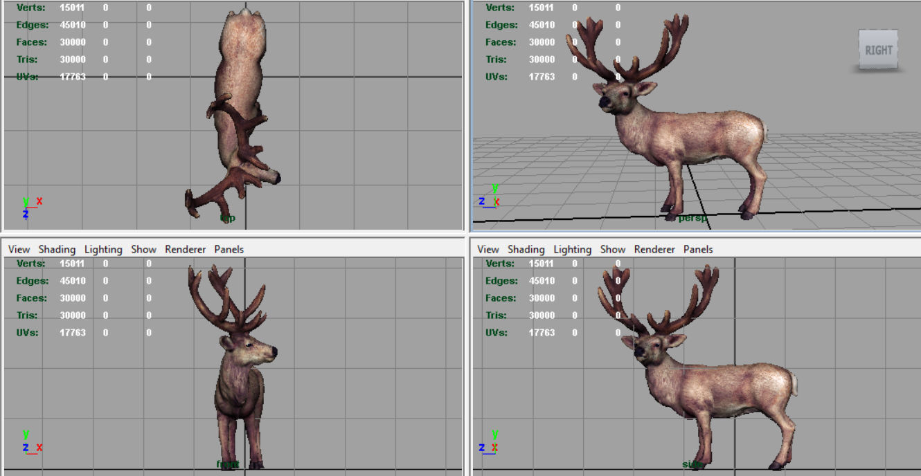 Red Deer 3D model_7