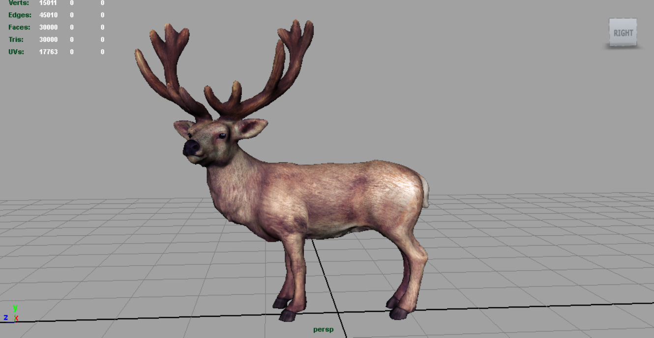 Red Deer 3D model_4
