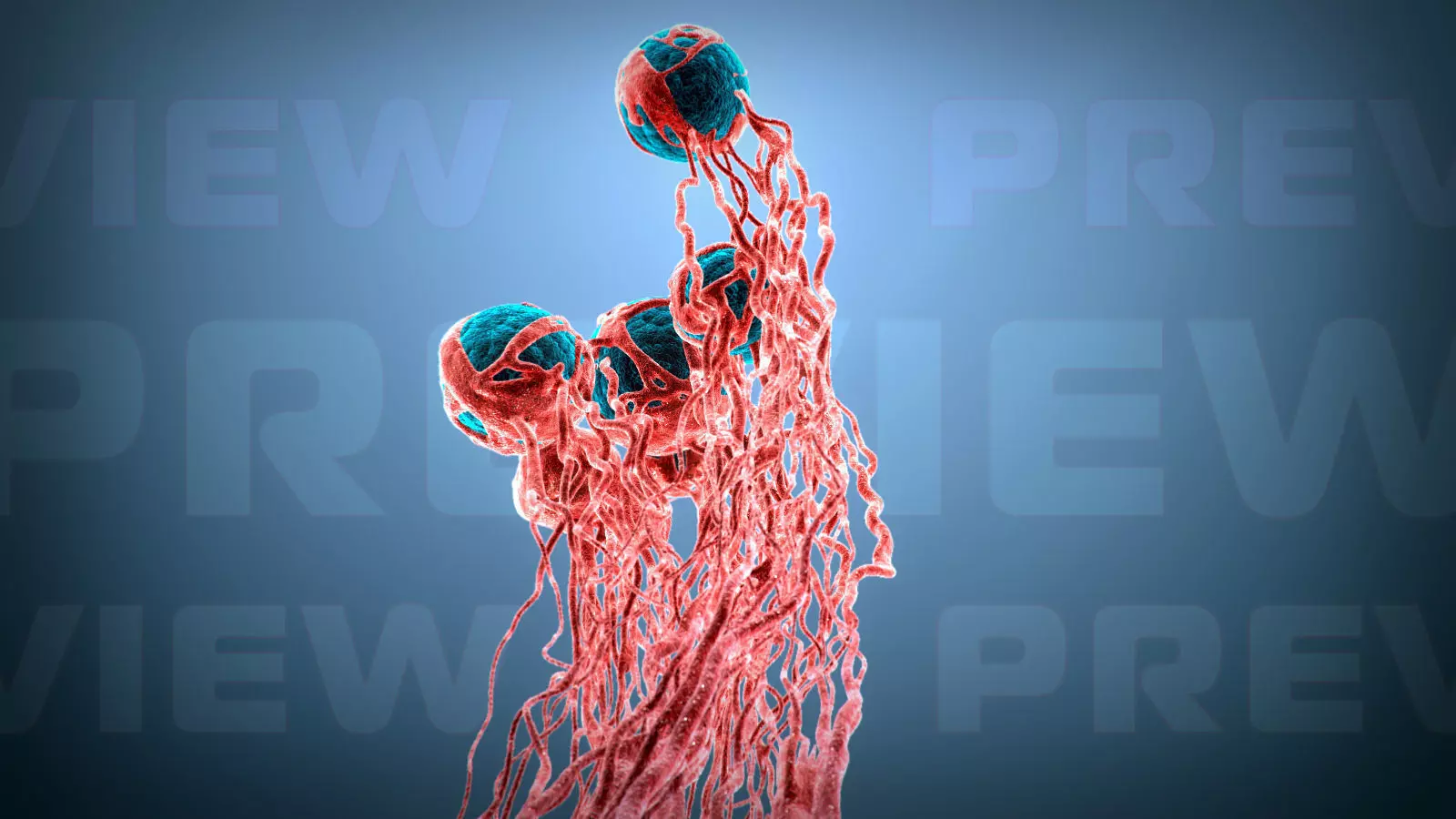 Cancer Growth 2 Static Hipoly 3D model