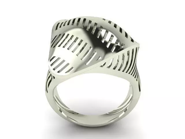 Ring R0293 3D print model_0