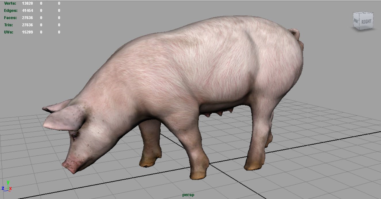 Farm Animals Collection Pack Low-poly 3D model_29