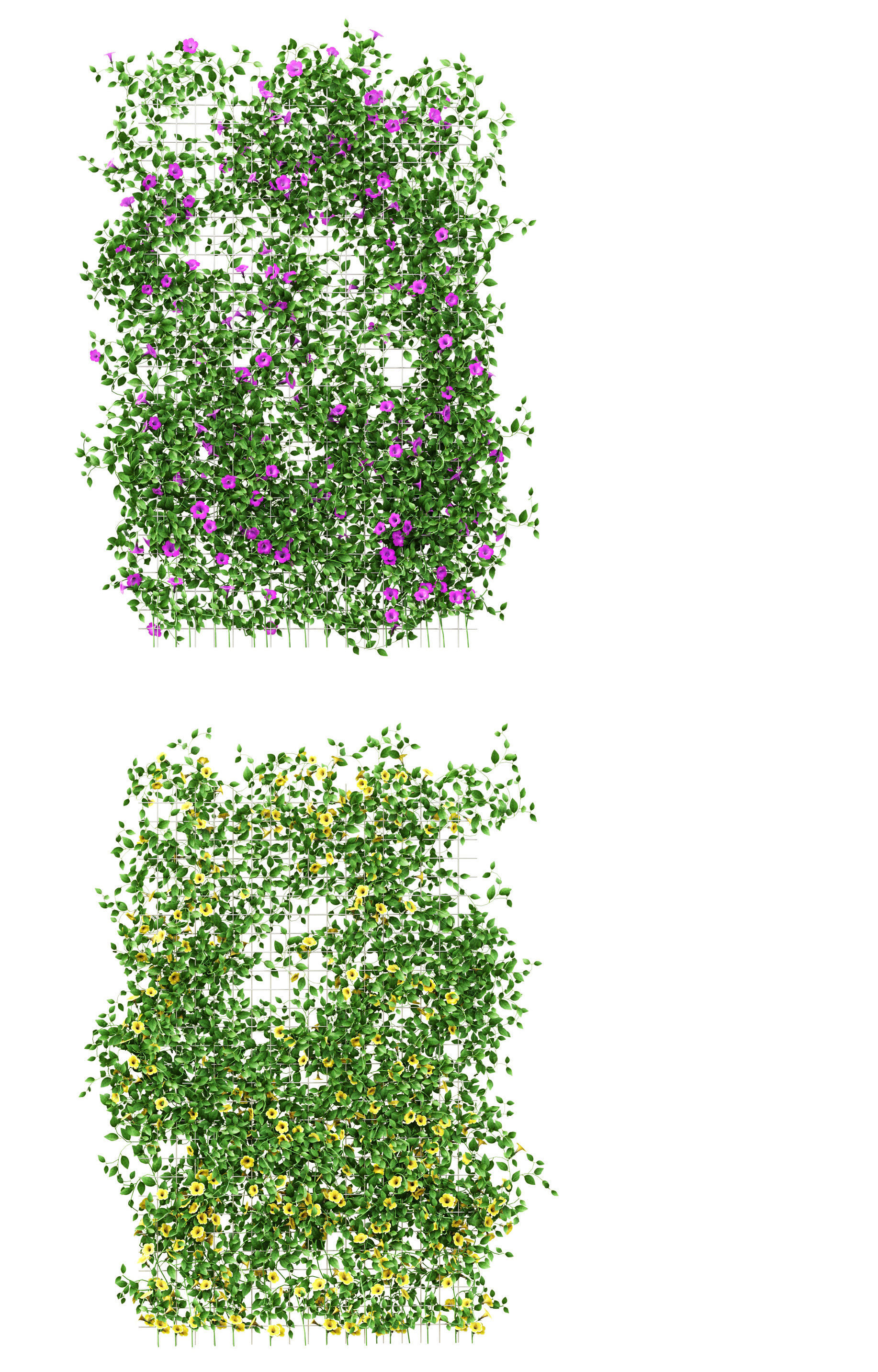 set of walls of flowers on a grid consisting of 4 models 3d model