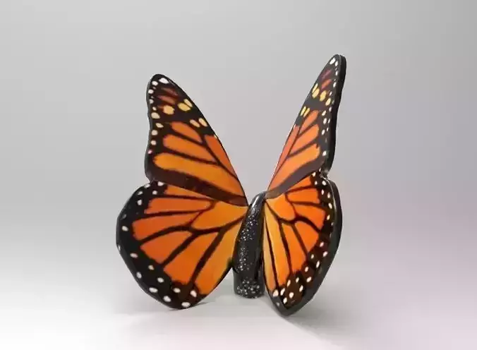 Monarch Butterfly