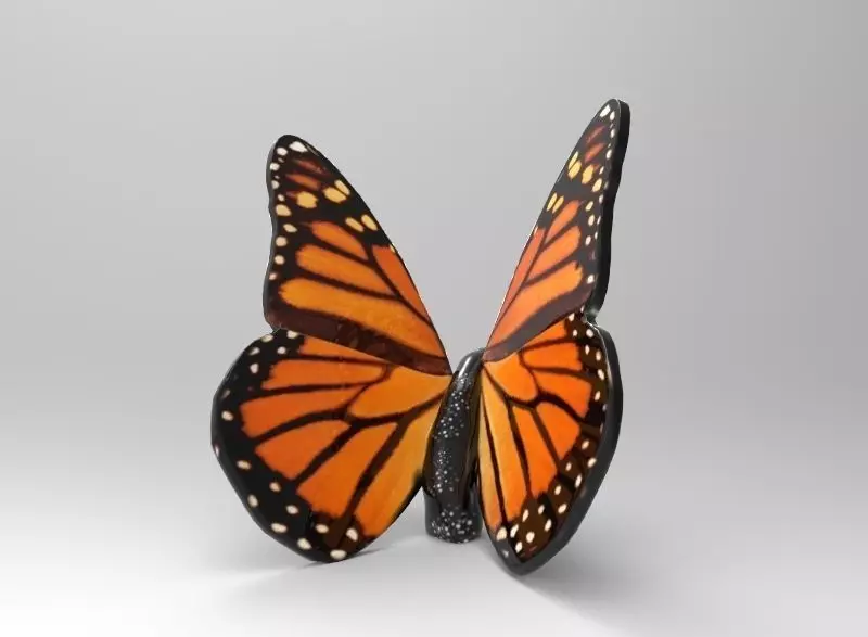Monarch Butterfly 3D print model_0