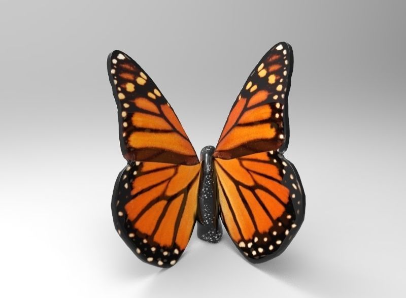 Monarch Butterfly 3D print model_2