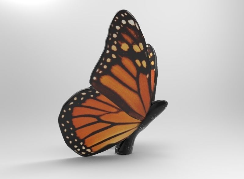 Monarch Butterfly 3D print model_1
